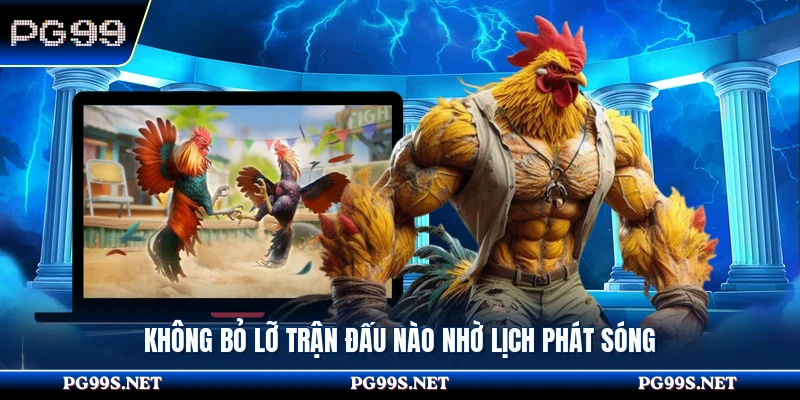 Không bỏ lỡ trận đấu nào nhờ lịch phát sóng 